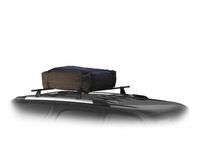 Buick Roof-Mounted Cargo Carriers