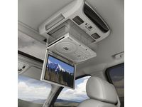 Chevrolet Trailblazer RSE - DVD Player - Overhead Installation Kit - 17802187