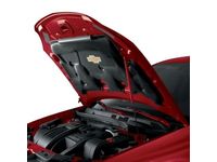 GM 17801795 Hood Strut,Color:Red (29U);
