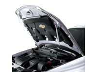 GM 17800729 Hood Strut,Color:White (50U);