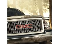 GM 19172039 Hood Protector in Smoke