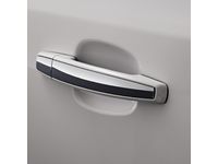 GM 20919348 Front and Rear Door Handles in Silver Ice Metallic with Chrome Strip
