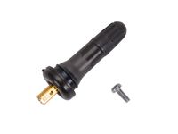 GM 19259587 Tire Valve Kit with Cap, Stem, and Bolt