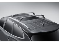 Buick Enclave Roof Carriers