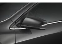 Chevrolet Equinox Outside Rearview Mirror Covers in Black - 84235862