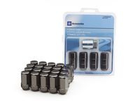 GM 84332438 Wheel Lock and Lug Nut Kit in Black - 1