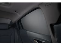 GM Rear Window Sunshade Package in Black - 84154508