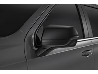 Chevrolet Trailblazer Outside Rearview Mirror Covers in Black - 84703355