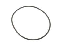 OEM Pulley Gasket - F1VY-8507-A