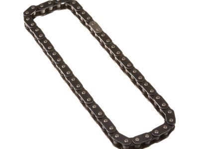 GM 10114177 Timing Chain
