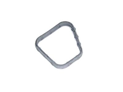 GM 12579977 Water Outlet Seal