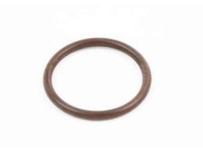 GM 12584040 Water Outlet Seal