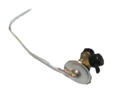 GM 52460952 Valve, Auxiliary A/C Evap Thermostat Expansion