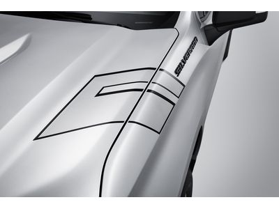 GM 84426013 Decal
