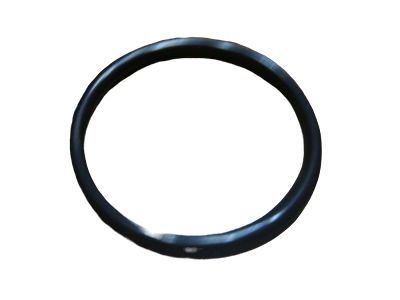 GM 94011602 By-Pass Pipe Upper Seal