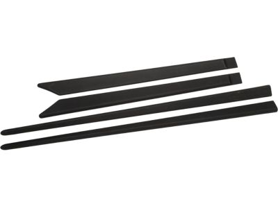 GM 89021880 Front and Rear Smooth Door Moldings in Black
