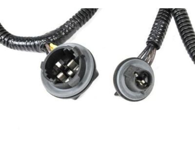 GM 25958496 Socket & Wire