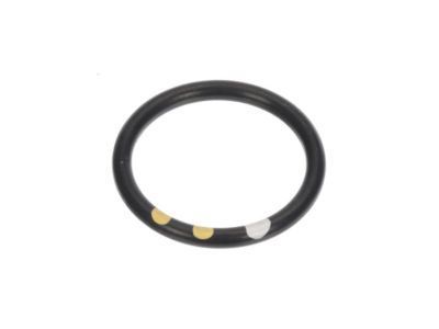 GM 10189205 By-Pass Pipe Seal