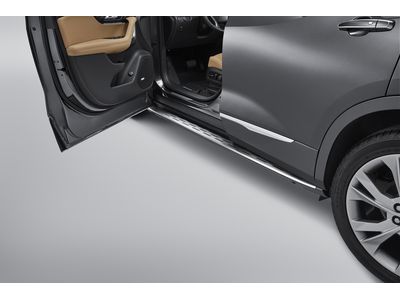 GM 42491246 Molded Assist Steps in Black with Bright Step Pad