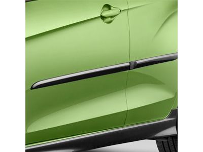 GM 95416966 Front and Rear Smooth Door Moldings in Lime