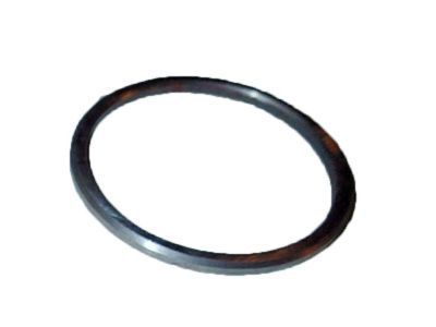 GM 9775809 Side Washer