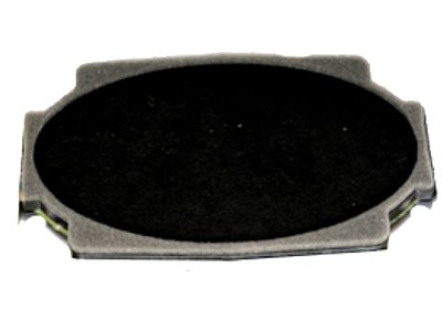 GM 15173233 Instrument Panel Speaker