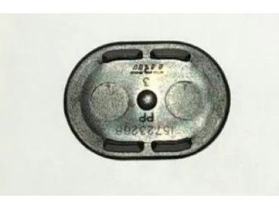 GM 15723268 Plug-Rear Side Door Access Hole
