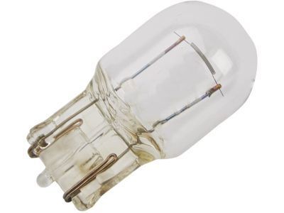 GM 13579198 Taillamp Bulb