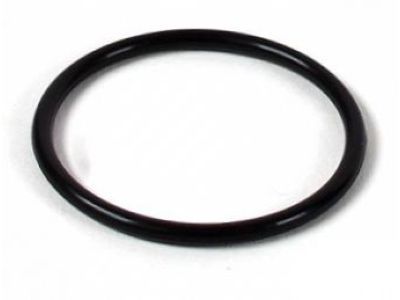 GM 94011603 By-Pass Pipe Lower Seal