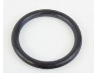 GM 90537379 Outlet Pipe Seal