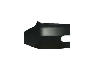 GM 22801018 Protector