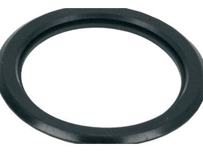 GM 10226107 Water Outlet Seal