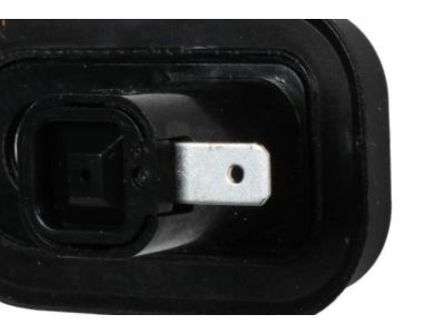 GM 30024014 Switch, Dr Jamb