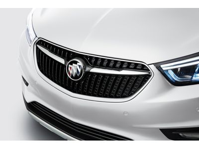 GM 42582721 Grille in Black with White Frost Tricoat Surround