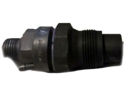 GM 10233972 Injection Nozzle