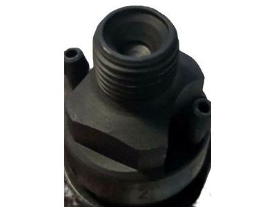GM 10233972 Injection Nozzle