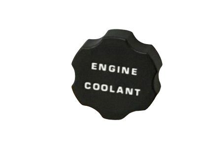 GM 14103522 Cap Asm-Coolant Recovery Reservoir
