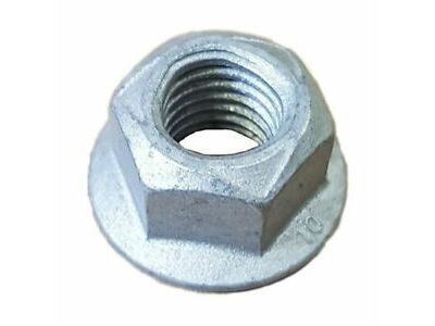 GM 11569691 Protector Nut