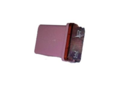 GM 15822417 Fuse, 30 A