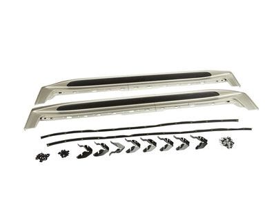 GM 23460310 Molded Assist Steps in Sparkling Silver Metallic