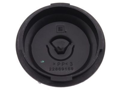 GM 22869159 Access Cover