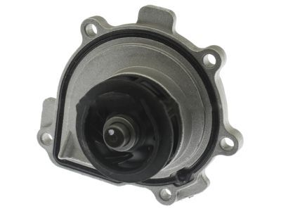 GM 25195119 Water Pump Assembly