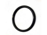 OEM Chevrolet Express 2500 Injector O-Ring - 94013303