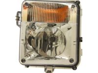 OEM Cadillac SRX Fog Lamp Assembly - 15930685