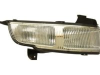 OEM Cadillac DTS Fog Lamp Assembly - 25797625