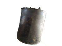 OEM Buick LeSabre Canister - 17064622