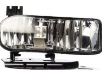 OEM Cadillac Escalade ESV Fog Lamp Assembly - 15252038
