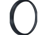 OEM GMC Canyon Front Seal - 24585065