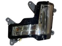 OEM Cadillac Fog Lamp Assembly - 84575575