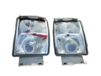 OEM Cadillac STS Fog Lamp Assembly - 20972730